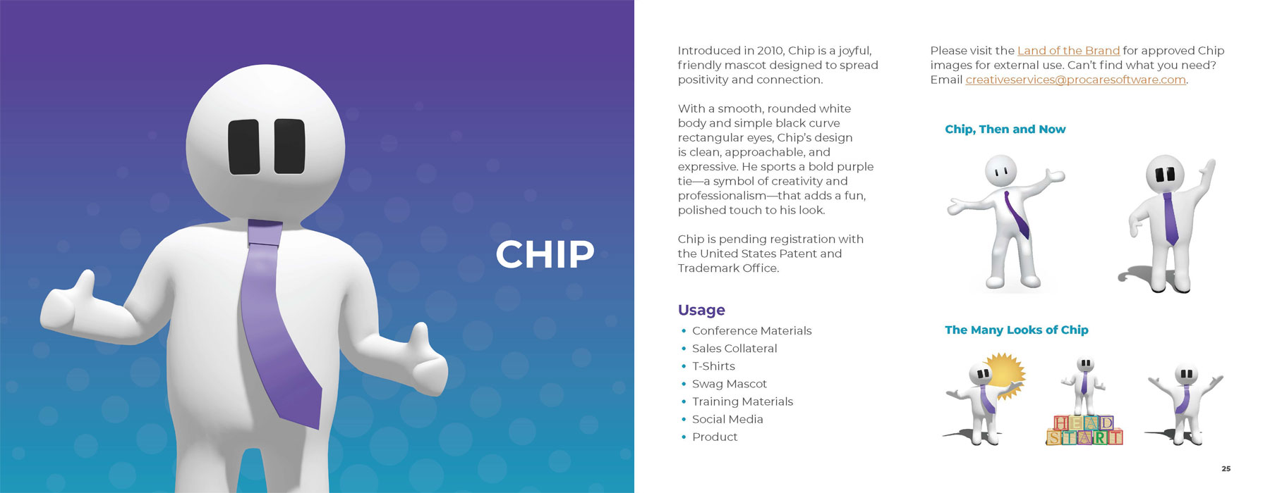 ChildPlus Chip Guidelines